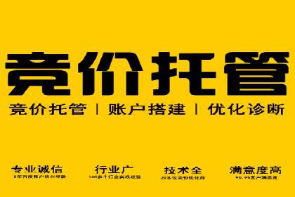 百度网络推广案例解析：成功企业如何实现品牌飞跃